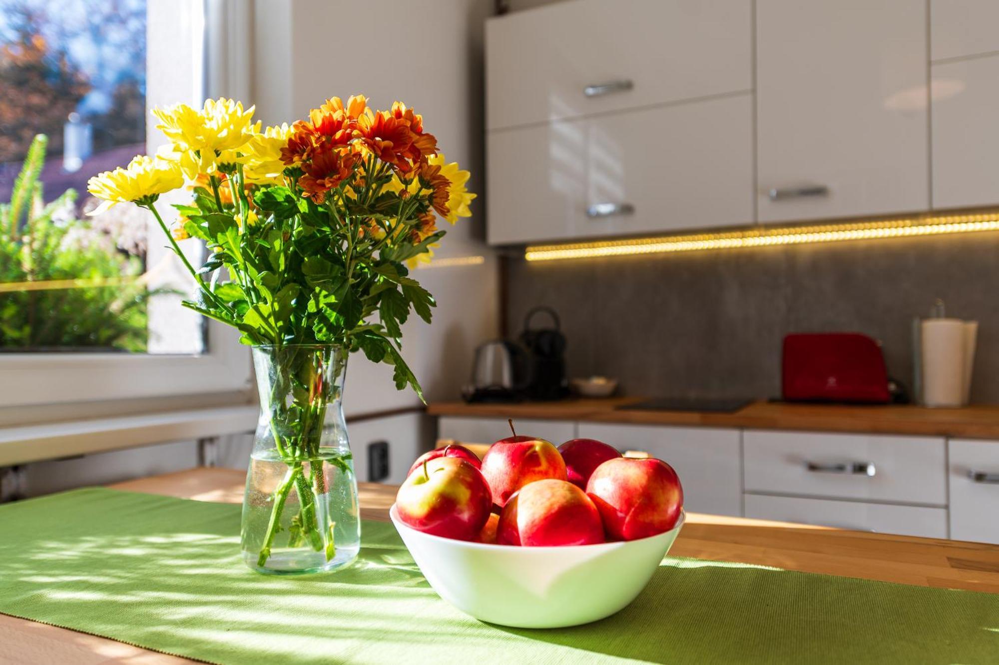 Ubytovani Na Samote - Apartman U Tesaru Komarice Экстерьер фото